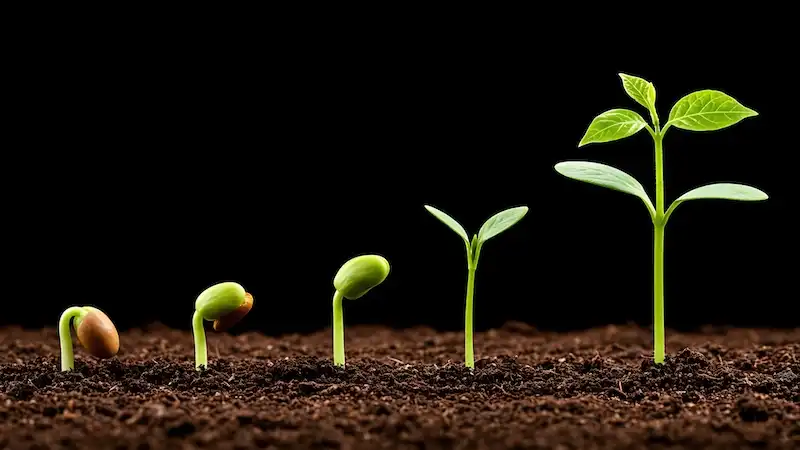 Why I built Hyperserve